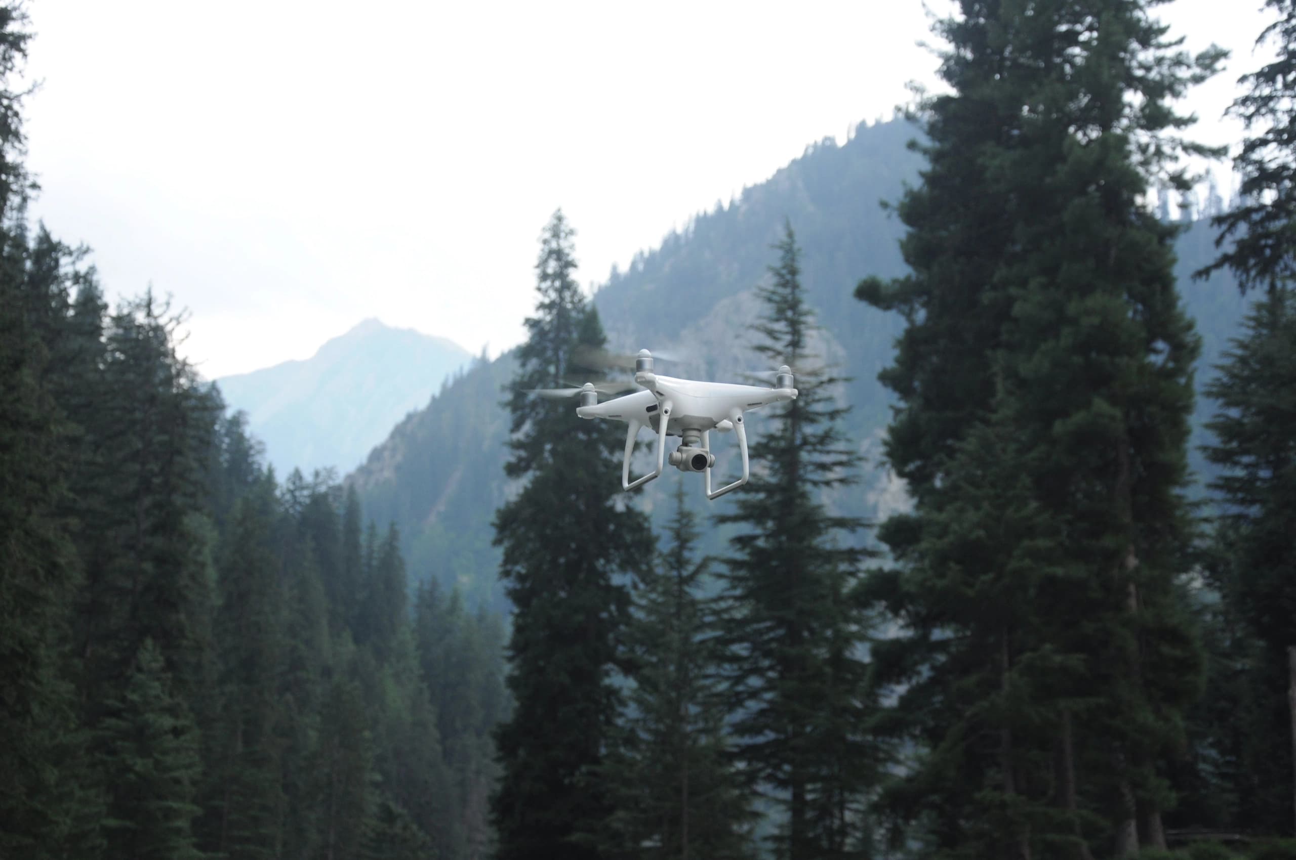 Survey drone hovering above a conifer forest with mountains behind